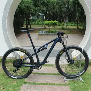 Professional Customized size Full suspension bicycle 12 Speed Carbon integral full suspension bike