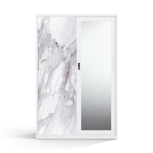 Armario de Acero Impreso con Puertas Corredizas y Espejo de 1200 mm para Almacenamiento en el Dormitorio - Product Image 1