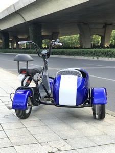 Atracciones Turísticas Convenientes para que las Personas Mayores Viajen a Su Ritmo, Motocicletas para Adultos, Sidecars, Mini <span class=keywords><strong>Coches</strong></span>, Bicicletas Eléctricas - Product Image 2