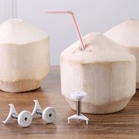 Ouvre-noix de coco manuel durable en acier inoxydable 304 et plastique ABS pour usage domestique et commercial