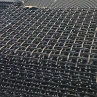 Kawat Jaring Baja Mangan Anyaman Polos Kekuatan Tarik Tinggi Tingkat Penyaringan Tinggi untuk Filter yang Dapat Disesuaikan untuk Filtrasi Industri