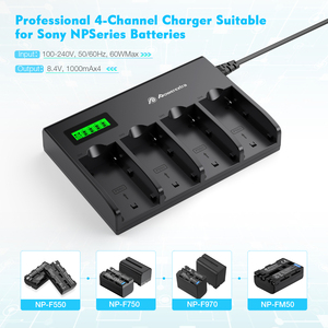 Cargador de baterías <span class=keywords><strong>digital</strong></span> portátil <span class=keywords><strong>universal</strong></span> de 4 ranuras, <span class=keywords><strong>LCD</strong></span>, 2 ranuras, para Sony, 1, 2, 2, 2, 3, 2, 2, 2, 2, 2, 2, 3, 4, 2, 2, 3, 4, 2, 2, 4, 2, 2, 4, 4 ranuras, 2, 2, 2, 4, 2, 4 ranuras universales - Product Image 6