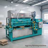 Machine complète personnalisée, stable, compacte et économe en énergie pour la fabrication de plateaux à œufs, destinée aux petites exploitations avicoles