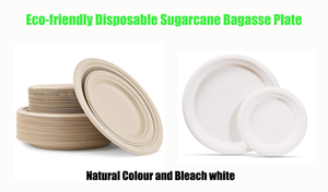 Assiettes jetables en bagasse compostables, écologiques, compatibles lave-vaisselle, légères, pour le camping, les restaurants et les fêtes - Product Image 3