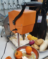 Lage Snelheid Vers Fruit Juicer Machine Mini Blender Pitaya Oranje Verse Sinaasappel Juicer Zonder Peeling 100% Puur Sap