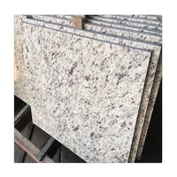 Prix des dalles de granit Bianco Romano pour revêtement mural en pierre