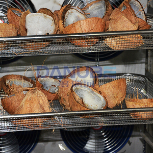 High Performance Coconut Shell Drying Machine Coconut Shell Drying Oven Room Coconut Shell <b>Dehumidifier</b> Processing Machinery - Product Image 2