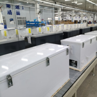 Congélateur Commercial Horizontal à Bas Prix 152L-1000L avec Porte Supérieure, Équipement de Réfrigération