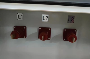 AC11kV-6000kW <strong>Reactive</strong> Containerized Resistive Load Bank For Generator Test Or <strong>Power</strong> Grid Outdoor Use - Product Image 5