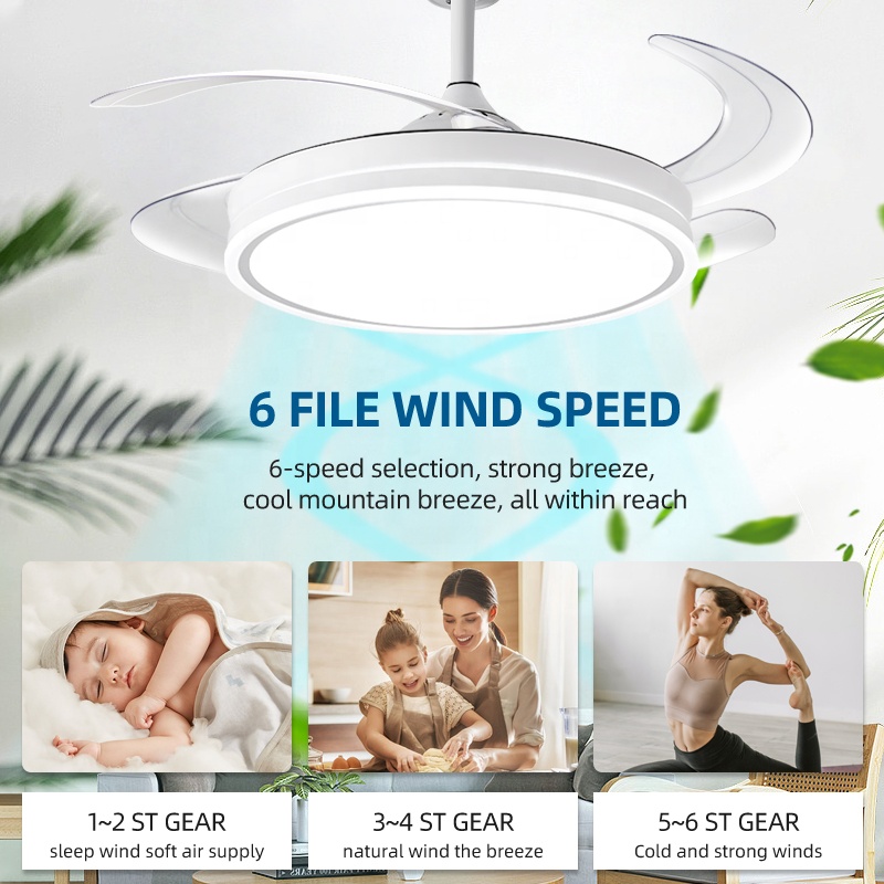 nuuk fan