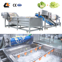Sus 304 Saladeverwerkingsmachine, Saladesnijder, Apparatuur voor het wassen en snijden van koolsalade