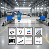 Machine de découpe plasma CNC 4x8 certifiée CE - Table industrielle à double portique avec engrenage pas à pas pour acier au carbone/inox
