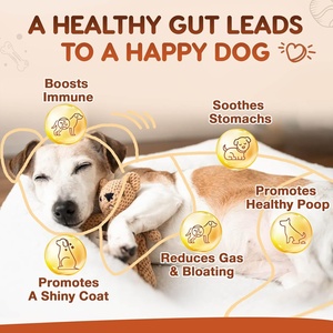 Huile de poisson en comprimés à mâcher pour chiens, marque privée OEM/ODM, santé digestive et soutien immunitaire, friandise digestive - Product Image 3
