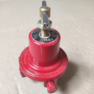 Válvula Reductora de Presión de Gas Propano REGO 597FD DN8, Válvulas de GLP <span class=keywords><strong>para</strong></span> Cocinas de Pescado, Regulador Neumático de 1/4, Capacidad de 102 kg/h - Product Image 2