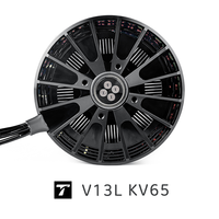 V13L KV65 T-MOTOR moteur sans balais VTOL étanche, système d'alimentation de drone durable avec poussée de 55kg pour les vols de longue endurance