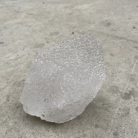 Cristaux de quartz nirvana naturels et purs, non polis, en forme de graines, points de cristal bruts, spécimen de quartz bouddha à bulles