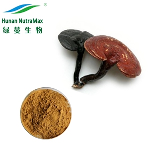 USDA 유기농 인증 레이시 버섯 추출물 10%-50% 다당류 - Product Image 4