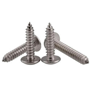 Tobo Roestvrij Staal 304 Kruis Pan Kop 3X6Mm Zelfschroeven Fabrikanten Chicago Tappende Schroef - Product Image 5