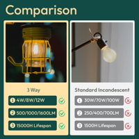 Ampoule LED en verre A19 E26 de haute qualité 4W/8W/12W 2700K Lumière blanche chaude Ra90 Dimmable 15000 heures pour bar, restaurant, hôtel