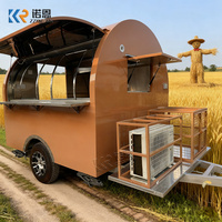 Camion de restauration moderne de grande capacité pour bubble tea et gaufres, remorque de cuisine homologuée DOT