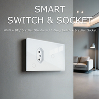 Prise murale intelligente Wi-Fi Brésil 1 Gang avec interrupteur tactile intelligent et prise de courant pour boîtier mural standard 4x2, appareil domotique Wi-Fi