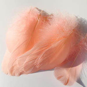 50 Pièces/Sac Plumes d'<span class=keywords><strong>oie</strong></span> colorées teintées pour remplissage <span class=keywords><strong>de</strong></span> boîtes cadeaux, accessoires <span class=keywords><strong>de</strong></span> photographie 9-15 cm - Product Image 2