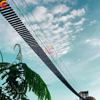 Aire de jeux extérieure, parc d'attractions, manèges, pont Skywalk, pont en bois, pont panoramique en verre de montagne