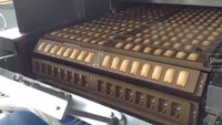 Machine de fabrication de gâteaux en forme d'ours 3D entièrement automatique, ligne de production en acier inoxydable avec système de contrôle précis de la pâte