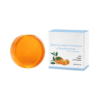 Persimmon Groene Thee Plantenextract Lichaamsreinigingszeep 100g Mild Schuimend Geurcontrole Hydraterend Alle Huidtypen Private Label