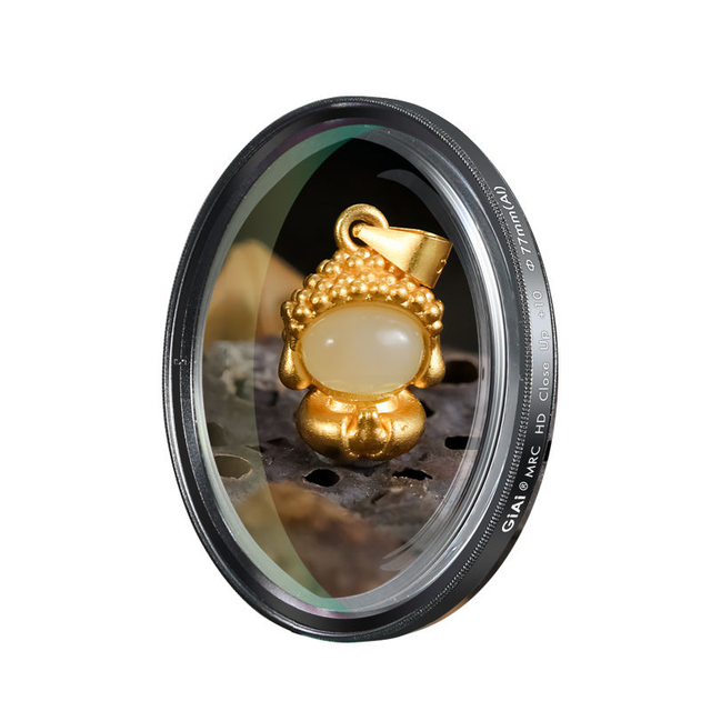 GiAi Professional Macro Close-Up Lens Filter Kit for DSLR/Mirrorless Cameras 52mm 58mm 67mm 77mm Multi-Coated Glass Diopters