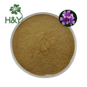 Manufacturer Supply Best quality Malva Sylvestris Flower Extract Mallow extract
