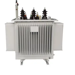 Customized Rated Power Capacity Distribution Oil Immersed Transformers