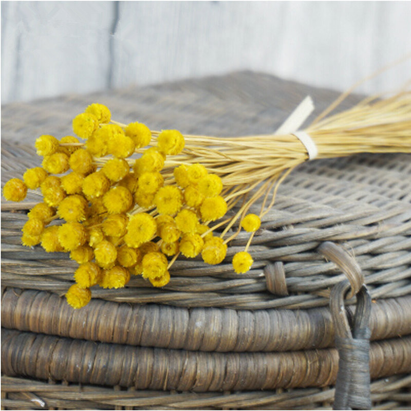 Giallo