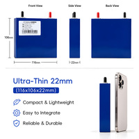 Batterie liquide Dongzhi 2,3V 20Ah LiFePO4 25000 cycles, décharge rapide 10C, charge rapide, qualité prismatique, -30-60°C