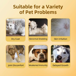 Complément nutritionnel probiotique pour chiens et chats OEM : contient des microbes intestinaux, comprimés probiotiques à mâcher pour animaux de compagnie et comprimés de soins de santé pour animaux de compagnie - Product Image 4