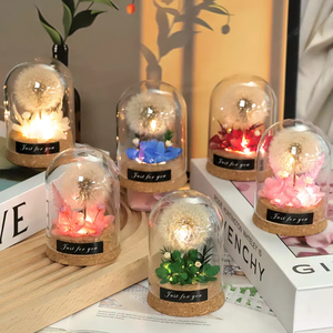 Venta al por Mayor de Dondas de Cristal con Luz LED, Regalo de Flor Eterna para <span class=keywords><strong>el</strong></span> Día de San Valentín, Día de la Madre, Cumpleaños - Product Image 1