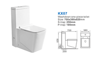 Fournisseur de toilettes à guichet unique couleur mode, articles sanitaires de style luxe, toilettes une pièce couleur or moderne mode