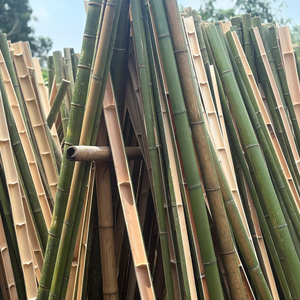 Vietnam OEM Factory Direct Wholesale Bamboo Sticks Natural Poles for <b>Curtain</b> Blinds Fencing Packaging and Decoration Supply - Product Image 1