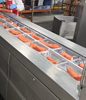 Machine d'emballage automatique sous vide pour viande, machine de scellage automatique de barquettes MAP, machine de thermoformage pour l'emballage de viande