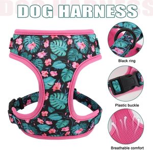 Personalized OEM ODM Eco-Friendly Dog Harness Set Fur Trim Neoprene Padded Polyester Custom Design Matching Collar Leash Set - Product Image 2