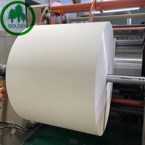 Cartón ecológico FBB C1S color marfil para envasado de alimentos congelados y producción de bandejas de papel - Product Image 1