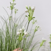 Plante artificielle réaliste faite à la main en forme d'oignon, en pot, sans entretien, style nordique, pour la remise des diplômes, la maison et le bureau