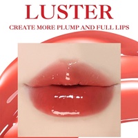 Gloss à lèvres effet miroir nacré, brillance fine, effet repulpant, application facile, hydratant, volumisant, taille standard