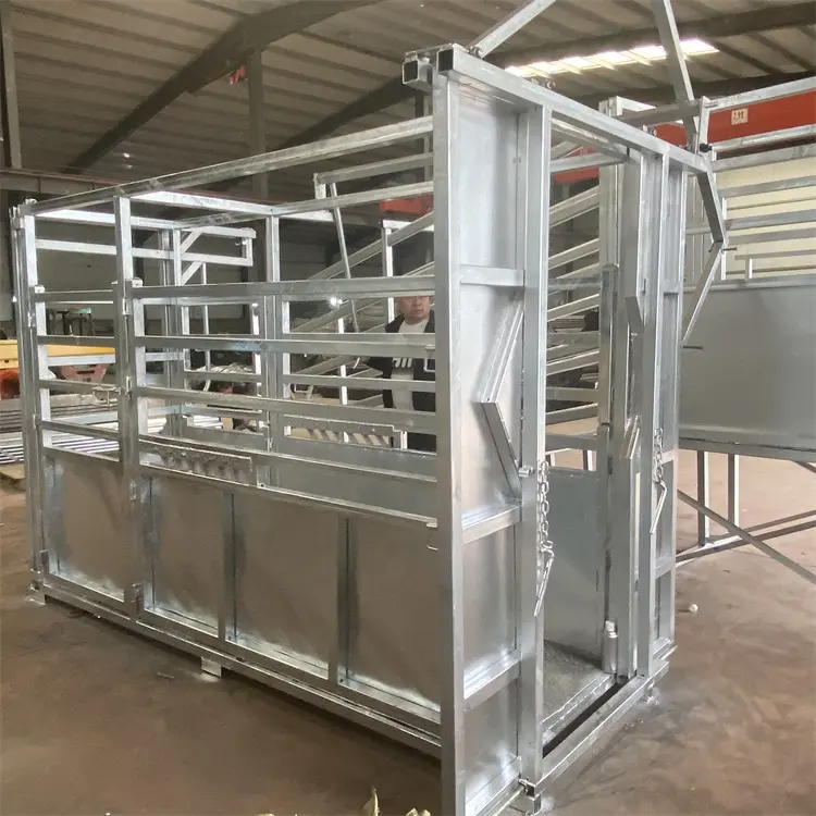 heavy duty Duty Cattle Squeeze Crush With Weighing Scale or not