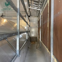 Gallinero Prefabricado de Estructura Metálica con Control Ambiental para la Cría de Pollos de Engorde y Gallinas Ponedoras