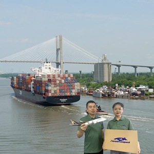 Sea Fright China Agente de envío Transporte marítimo profesional a EE. UU. Reino Unido Francia Alemania Italia Canadá Ddp - Product Image 3