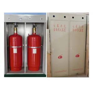 FM200 Cabinet Fire Extinguisher with No Residue for Collections and Documents