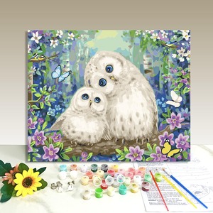 Personalized Wall Art Gift DIY Canvas Art <b>Framed</b> Painting by Numbers <b>Framed</b> owl Painting Paint by Numbers Kits for Children Kid - Product Image 1