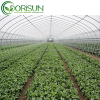 Polycarbonate PC Board Tunnel PE Film plastique côté Ventilation serre pour plantes