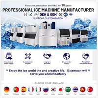 Máquina de Hielo de 500 LBS Directo de Fábrica, Máquina de Cubitos de Hielo Comercial de 230 KG Tipo Split, Certificación CE